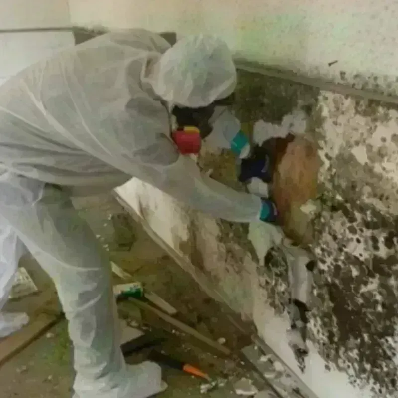 Mold Remediation and Removal in Sioux Falls, SD