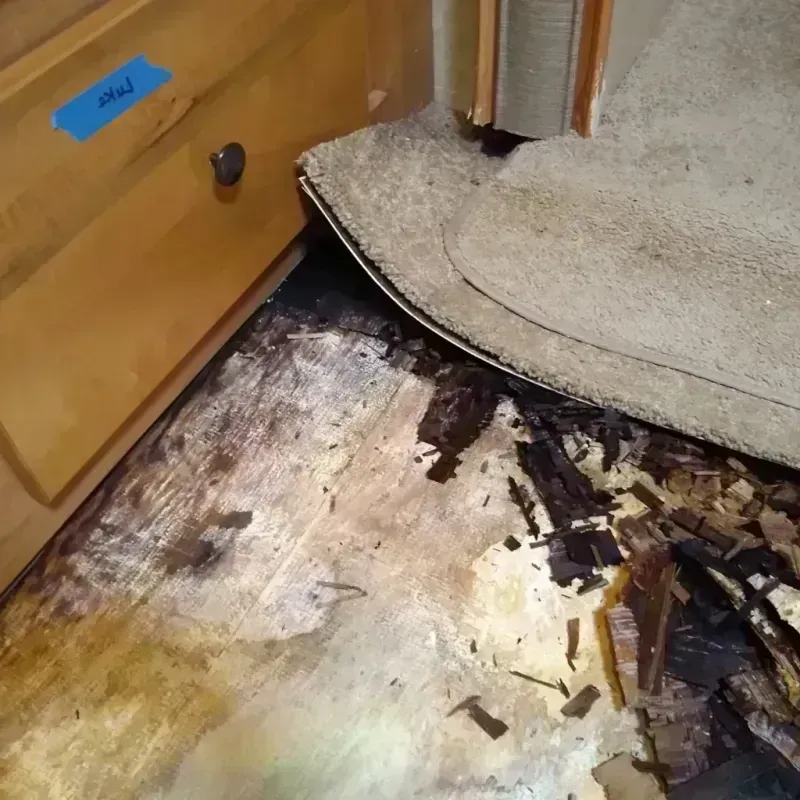 Wood Floor Water Damage in Sioux Falls, SD